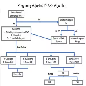 Pregnancy Adjusted YEARS Algorithm
